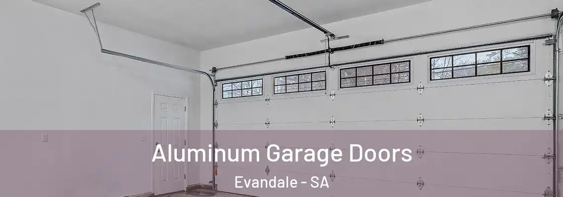  Aluminum Garage Doors Evandale - SA