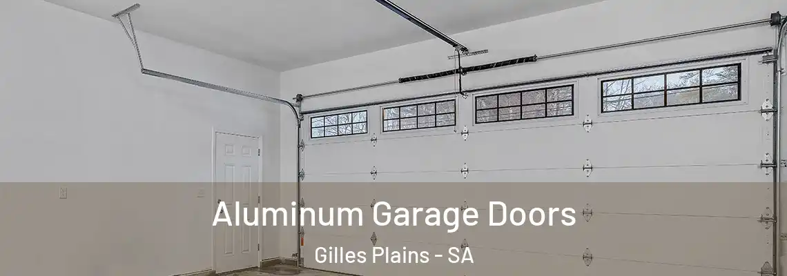 Aluminum Garage Doors Gilles Plains - SA