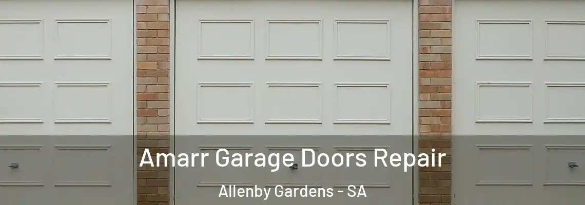 Amarr Garage Doors Repair Allenby Gardens - SA