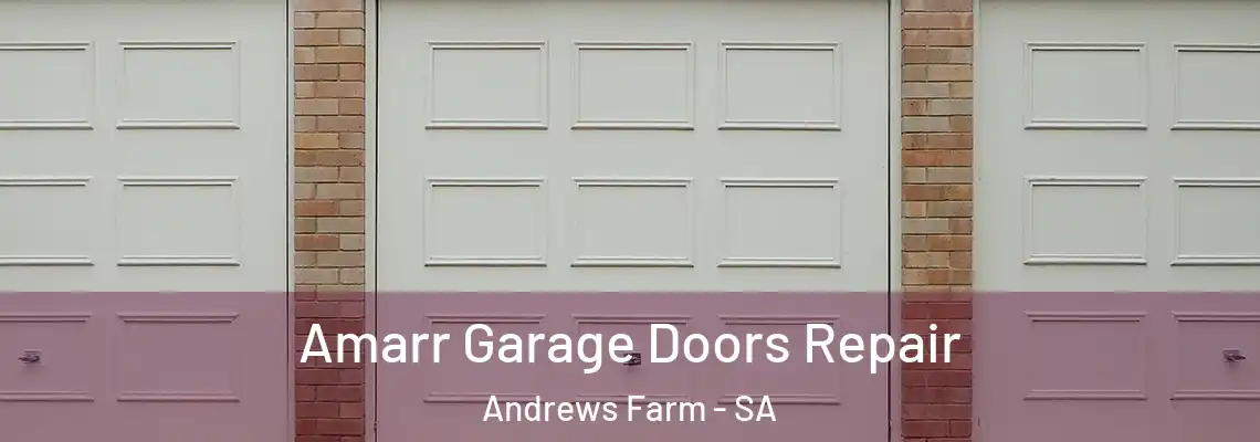 Amarr Garage Doors Repair Andrews Farm - SA