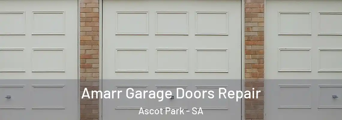 Amarr Garage Doors Repair Ascot Park - SA