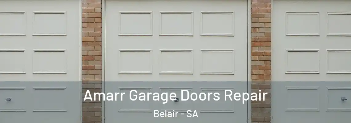  Amarr Garage Doors Repair Belair - SA