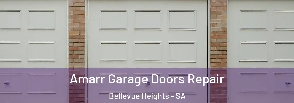  Amarr Garage Doors Repair Bellevue Heights - SA