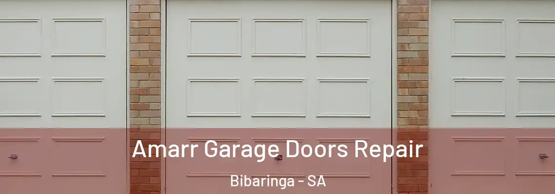 Amarr Garage Doors Repair Bibaringa - SA
