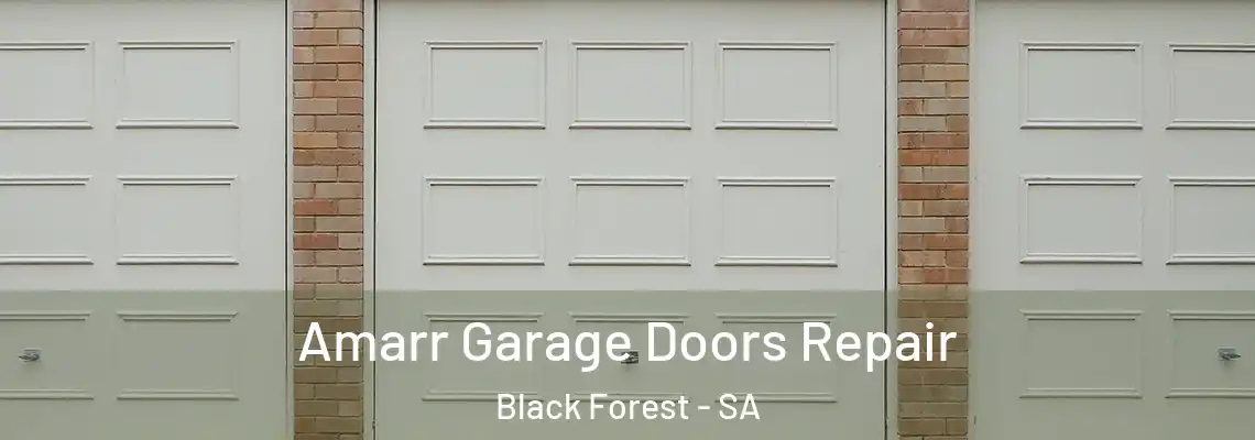 Amarr Garage Doors Repair Black Forest - SA