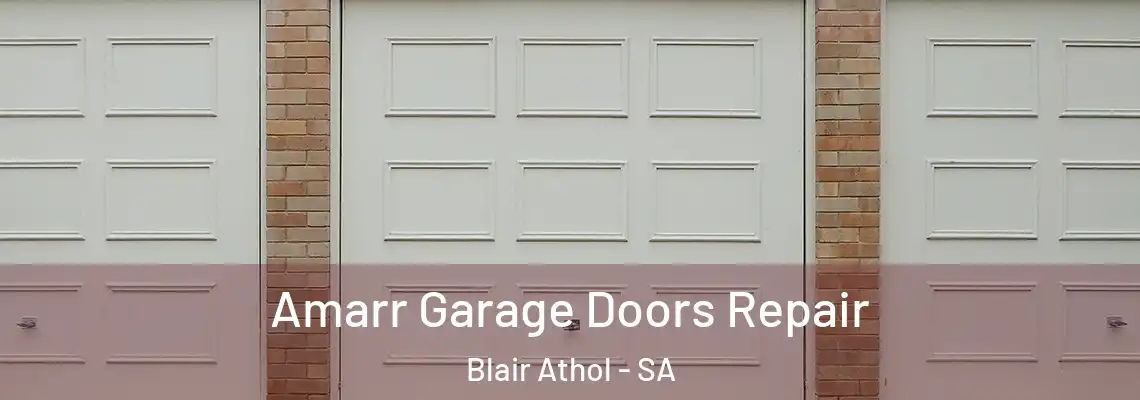  Amarr Garage Doors Repair Blair Athol - SA