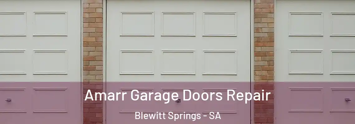 Amarr Garage Doors Repair Blewitt Springs - SA