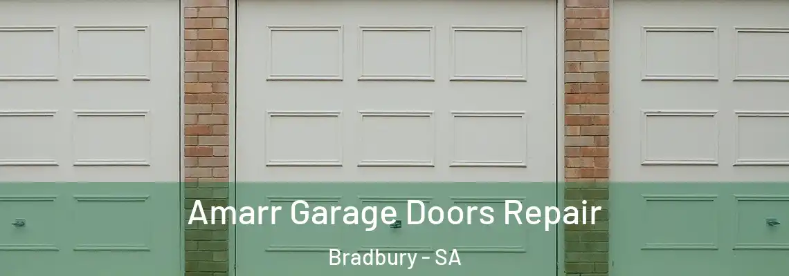 Amarr Garage Doors Repair Bradbury - SA