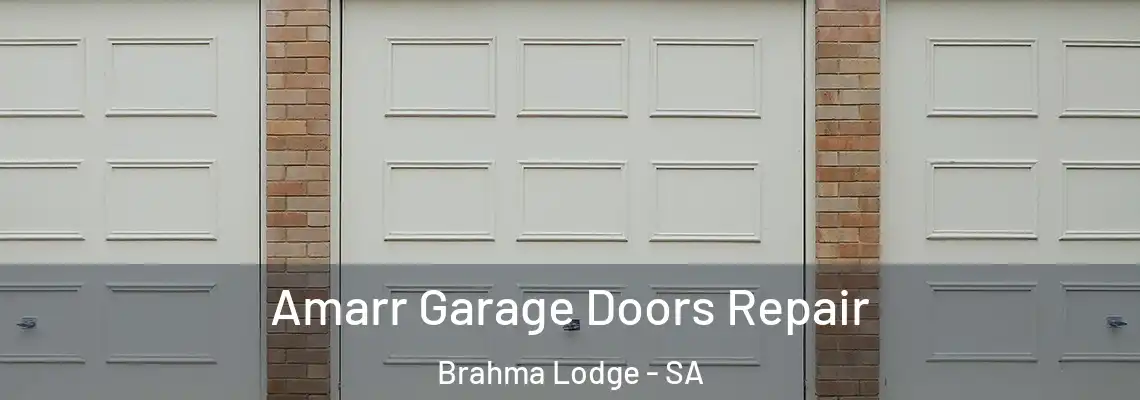 Amarr Garage Doors Repair Brahma Lodge - SA
