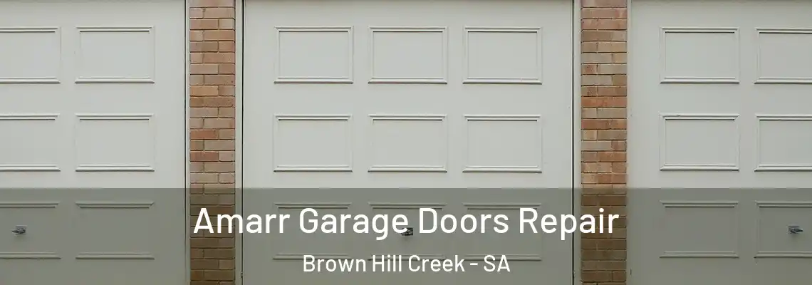 Amarr Garage Doors Repair Brown Hill Creek - SA