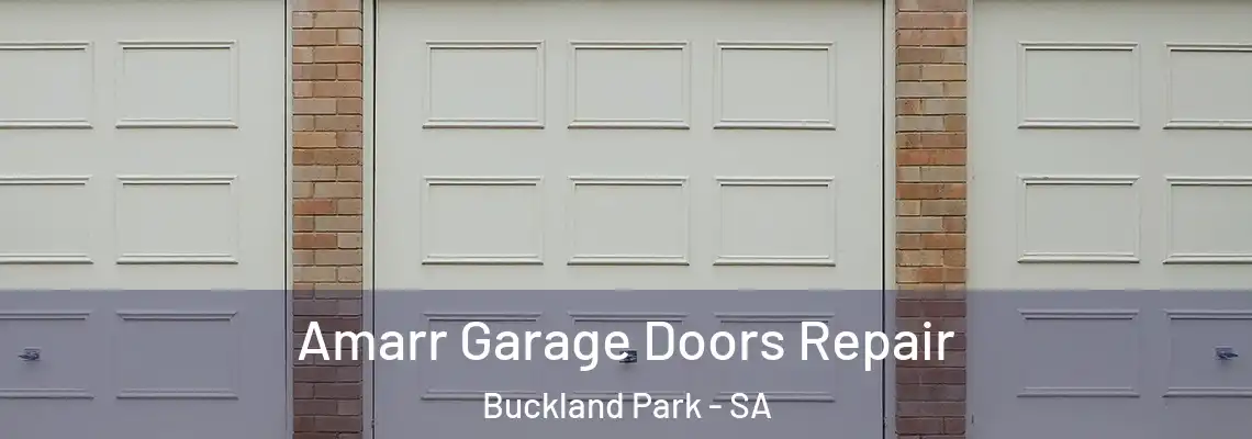 Amarr Garage Doors Repair Buckland Park - SA