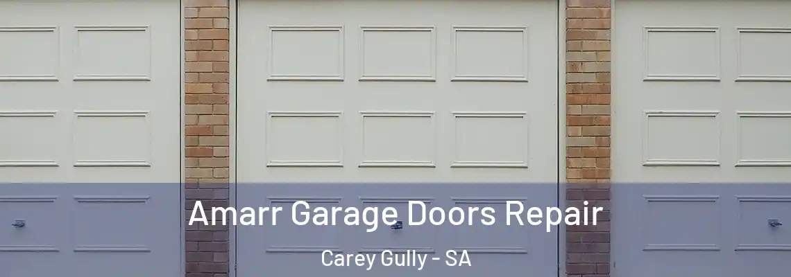 Amarr Garage Doors Repair Carey Gully - SA