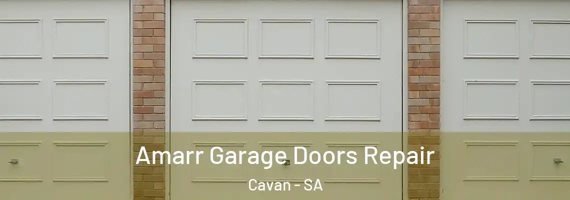  Amarr Garage Doors Repair Cavan - SA