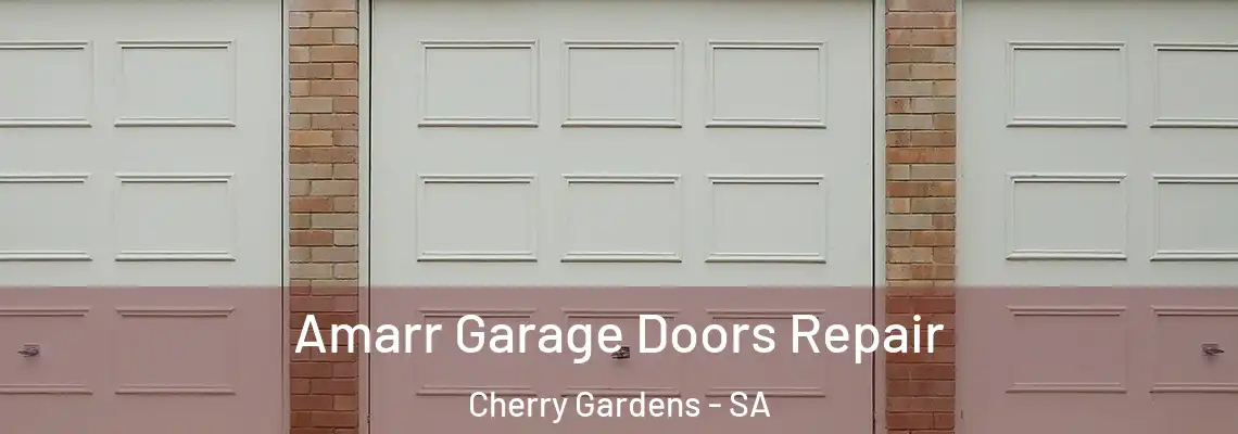  Amarr Garage Doors Repair Cherry Gardens - SA