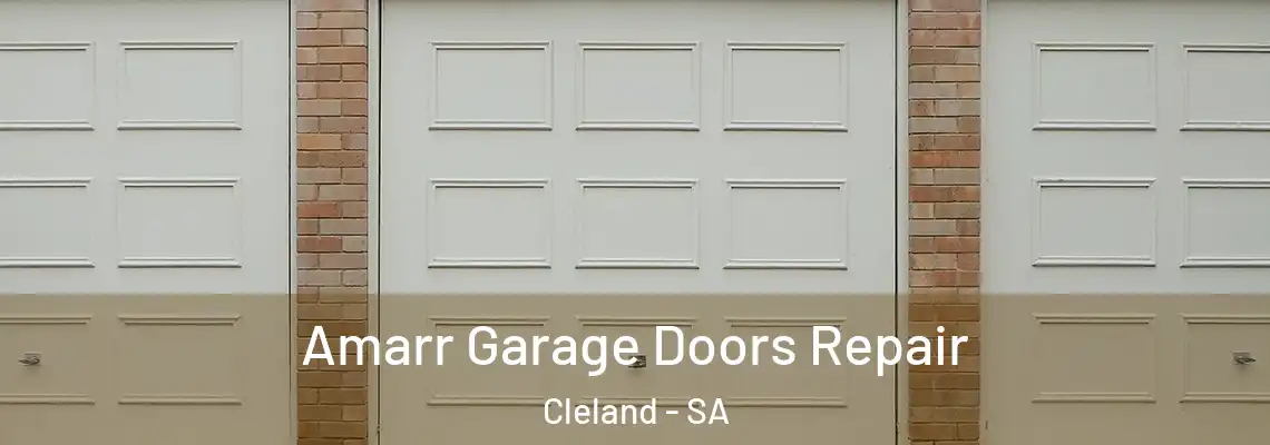 Amarr Garage Doors Repair Cleland - SA