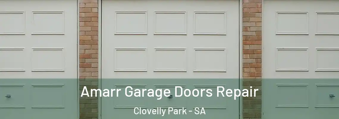 Amarr Garage Doors Repair Clovelly Park - SA