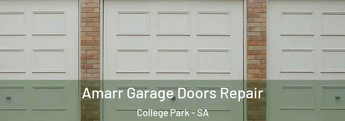 Amarr Garage Doors Repair College Park - SA