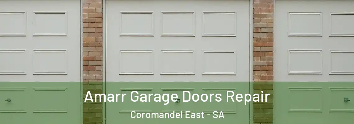 Amarr Garage Doors Repair Coromandel East - SA