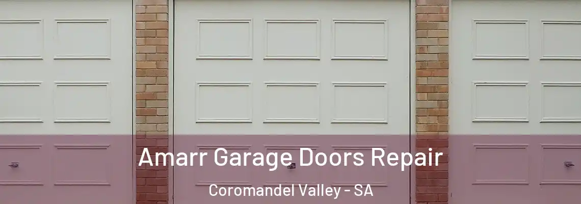  Amarr Garage Doors Repair Coromandel Valley - SA
