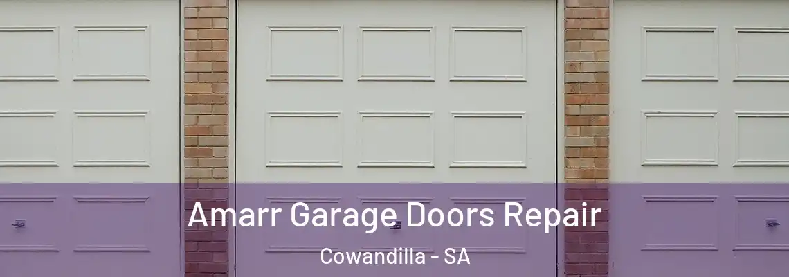 Amarr Garage Doors Repair Cowandilla - SA