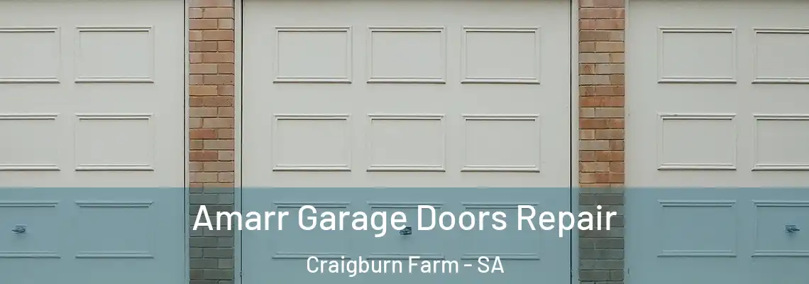 Amarr Garage Doors Repair Craigburn Farm - SA