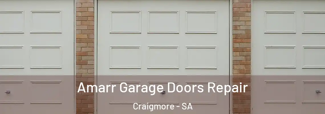  Amarr Garage Doors Repair Craigmore - SA