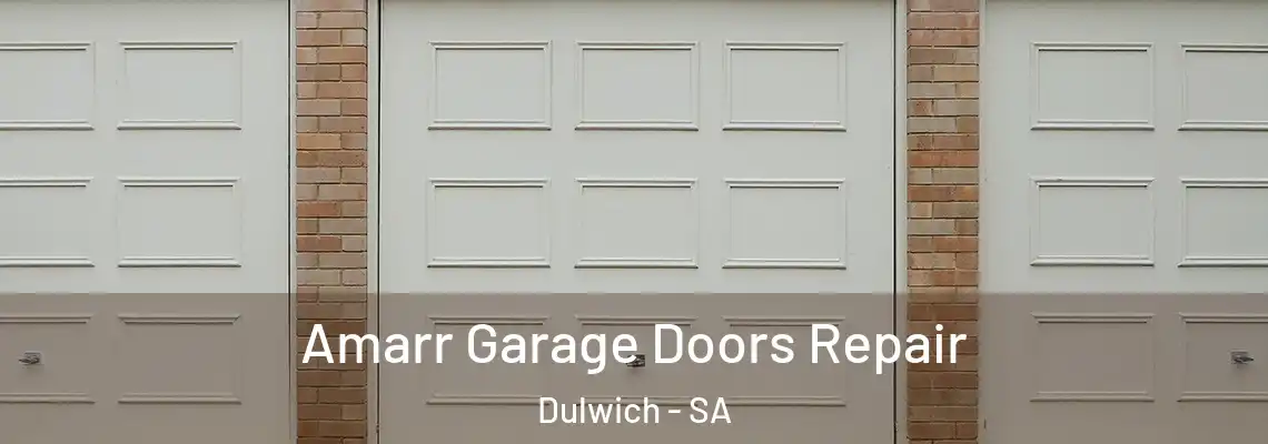 Amarr Garage Doors Repair Dulwich - SA