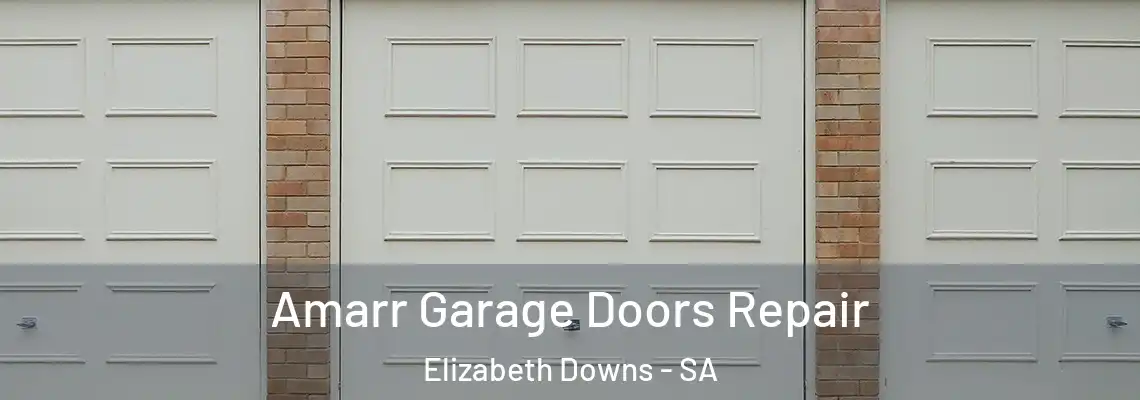Amarr Garage Doors Repair Elizabeth Downs - SA