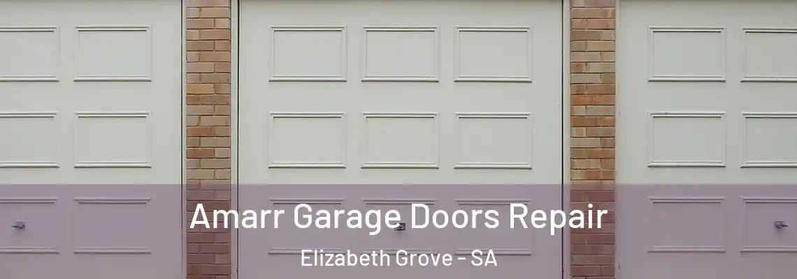 Amarr Garage Doors Repair Elizabeth Grove - SA