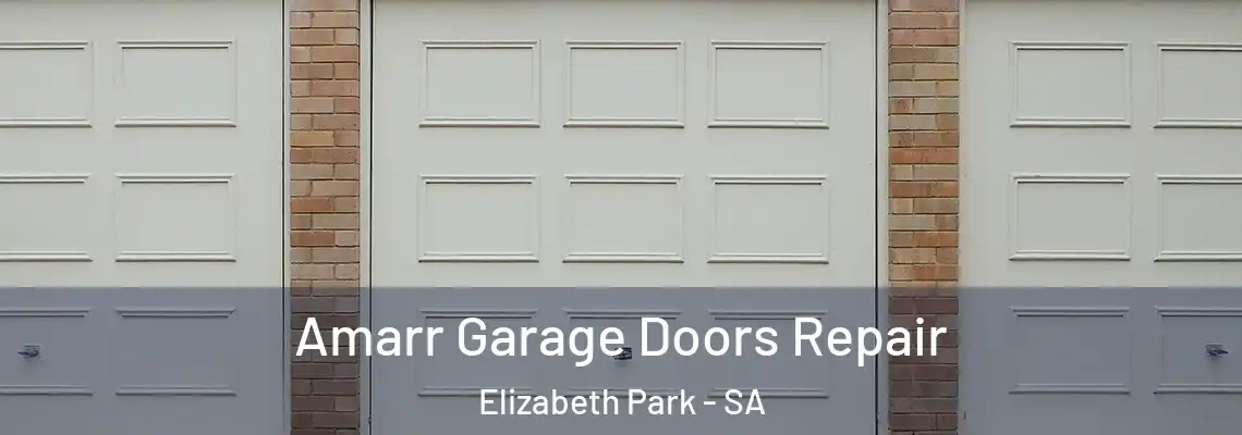 Amarr Garage Doors Repair Elizabeth Park - SA
