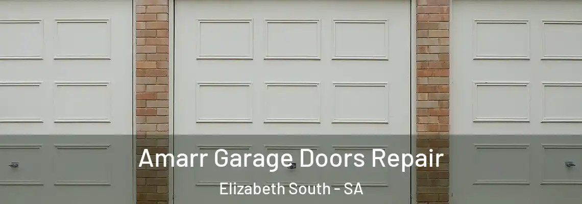 Amarr Garage Doors Repair Elizabeth South - SA