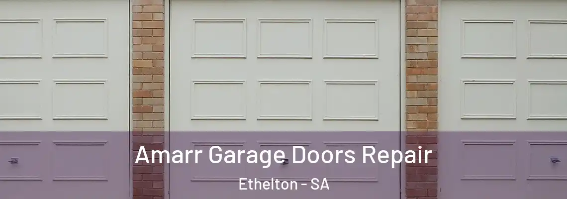 Amarr Garage Doors Repair Ethelton - SA