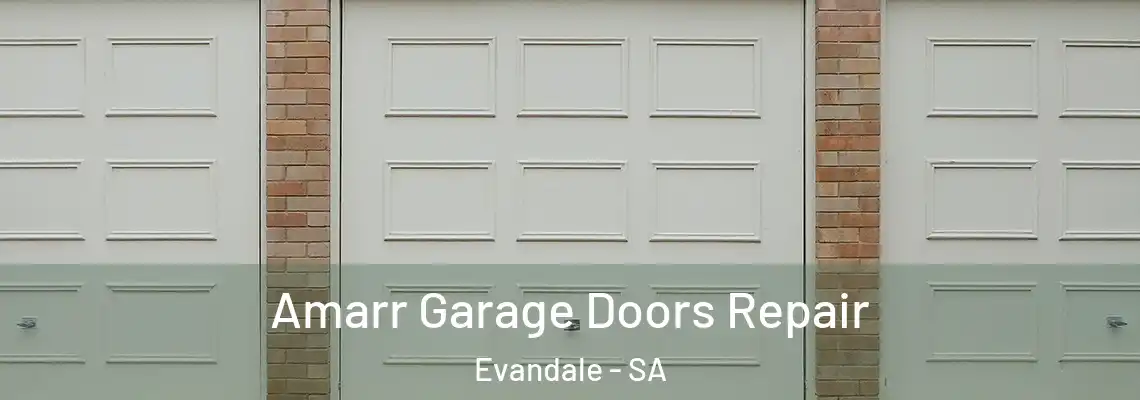  Amarr Garage Doors Repair Evandale - SA