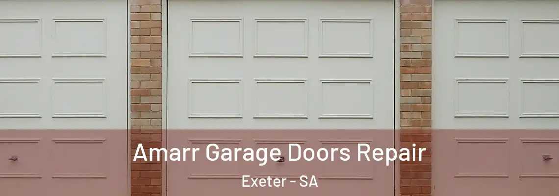 Amarr Garage Doors Repair Exeter - SA
