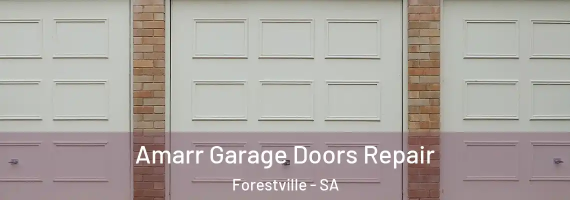  Amarr Garage Doors Repair Forestville - SA