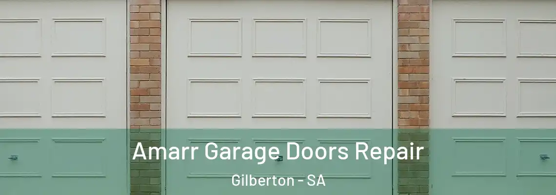 Amarr Garage Doors Repair Gilberton - SA