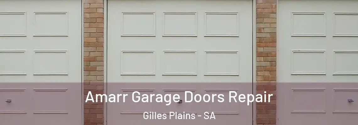 Amarr Garage Doors Repair Gilles Plains - SA