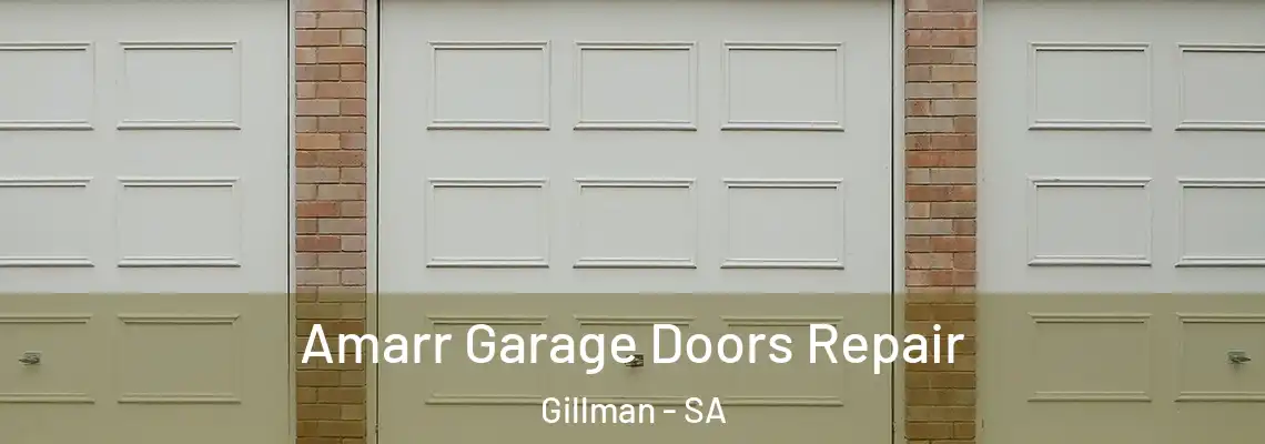  Amarr Garage Doors Repair Gillman - SA