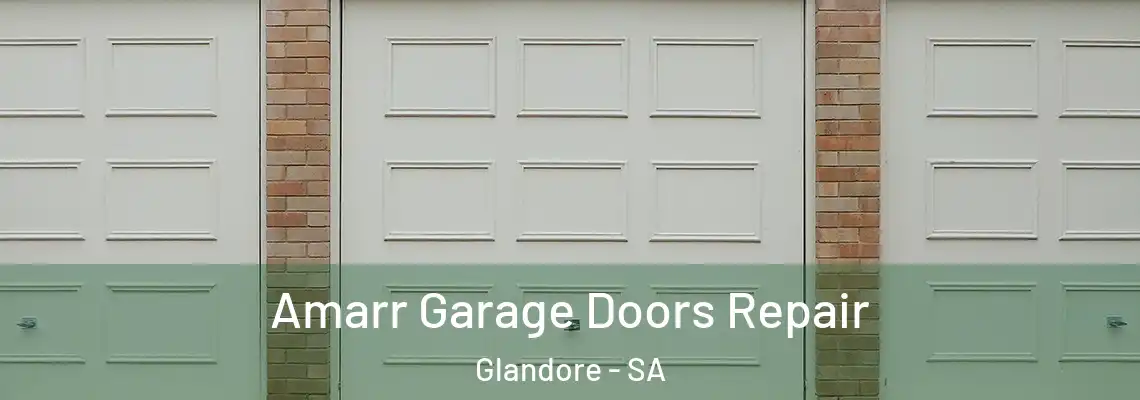  Amarr Garage Doors Repair Glandore - SA