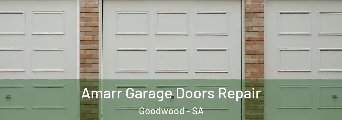 Amarr Garage Doors Repair Goodwood - SA