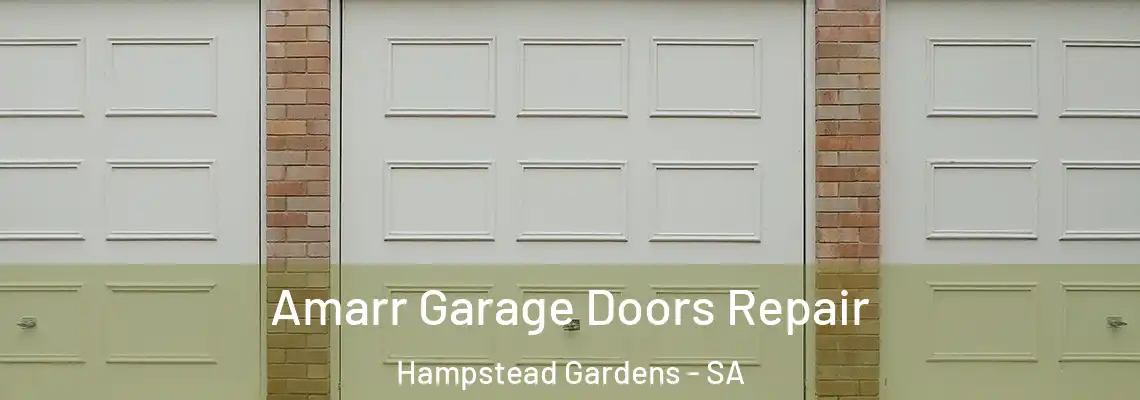 Amarr Garage Doors Repair Hampstead Gardens - SA