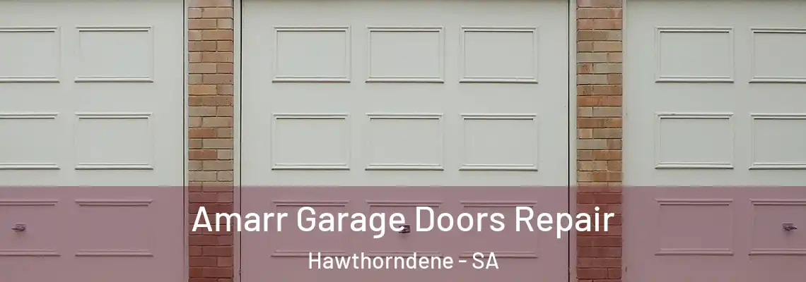  Amarr Garage Doors Repair Hawthorndene - SA