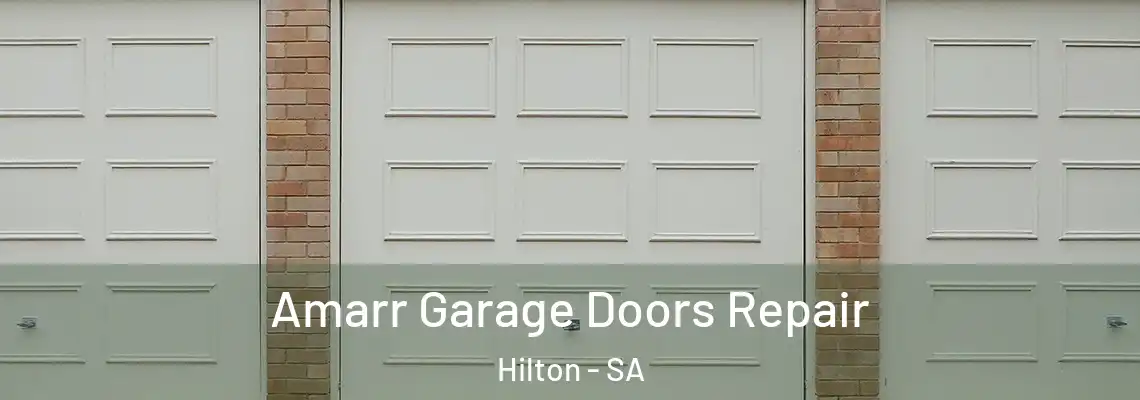  Amarr Garage Doors Repair Hilton - SA