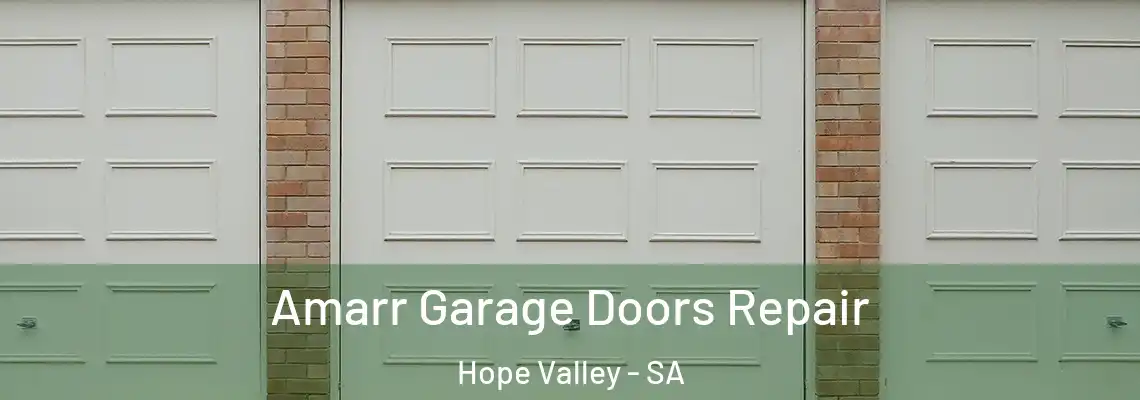  Amarr Garage Doors Repair Hope Valley - SA