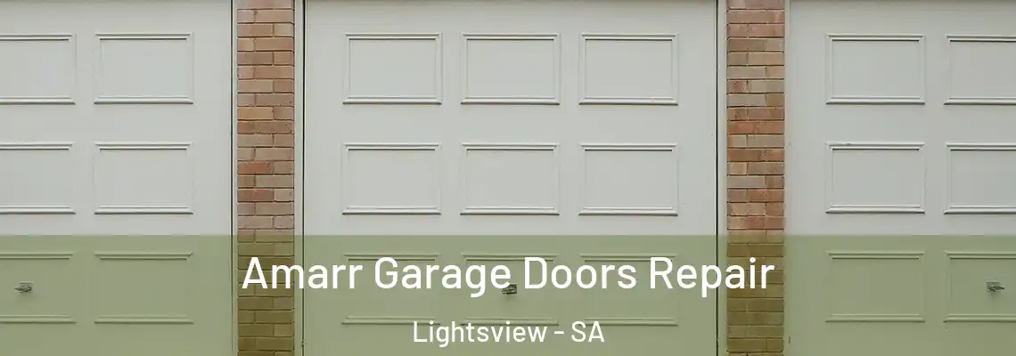  Amarr Garage Doors Repair Lightsview - SA
