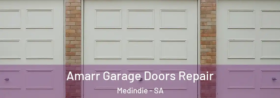 Amarr Garage Doors Repair Medindie - SA