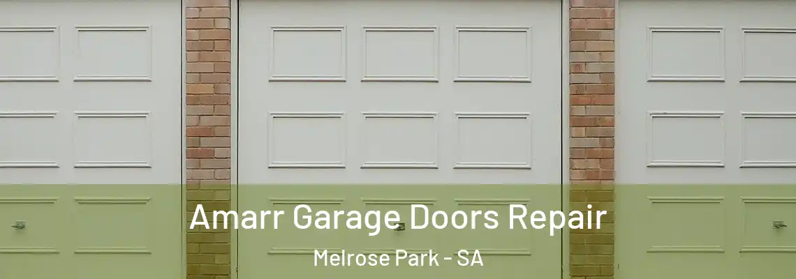  Amarr Garage Doors Repair Melrose Park - SA
