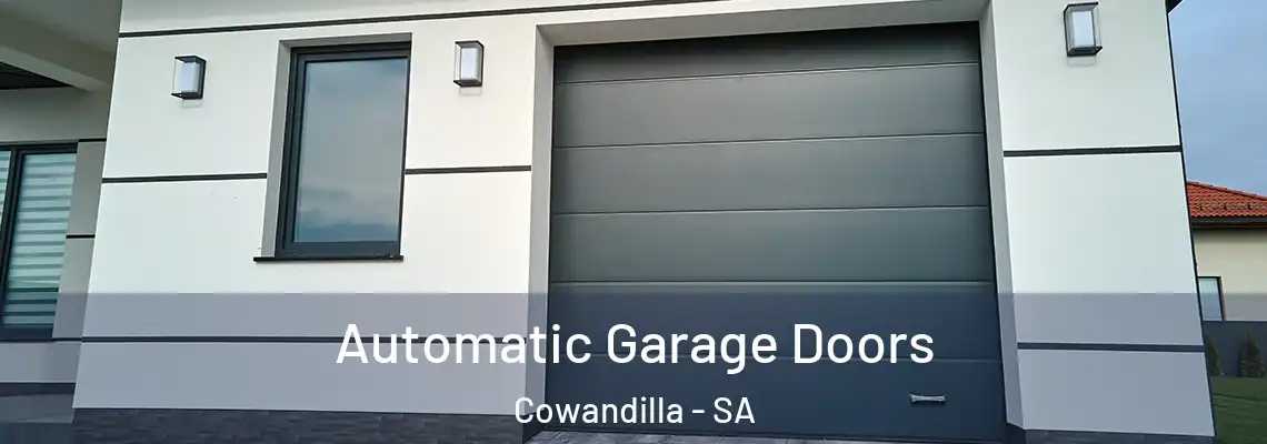 Automatic Garage Doors Cowandilla - SA