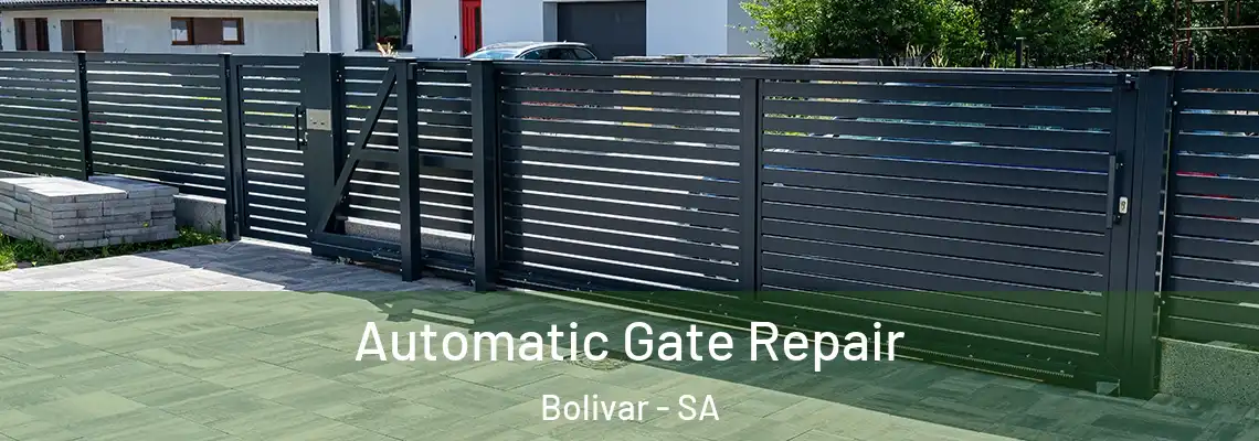 Automatic Gate Repair Bolivar - SA