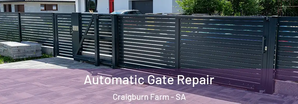  Automatic Gate Repair Craigburn Farm - SA